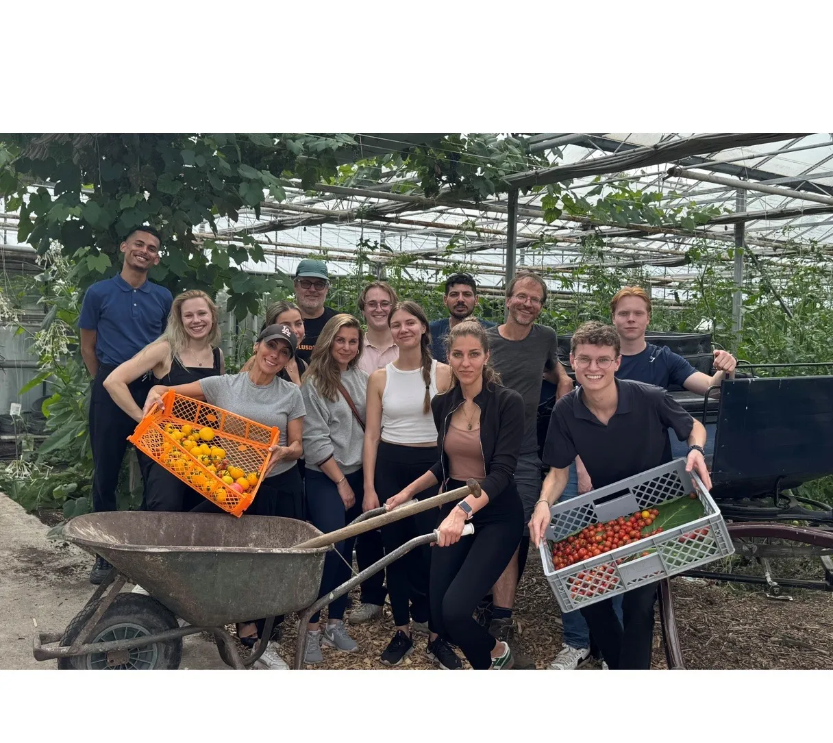 blog20juli Hiltongroep