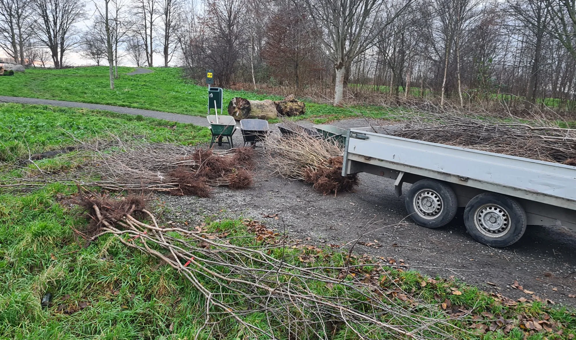 blog 21 december 1000den kersenbomen voor het oprapen