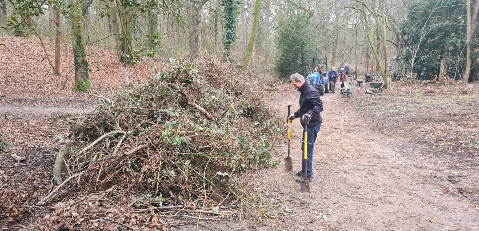 blog 15 febr. 2000 bramen verwijderd