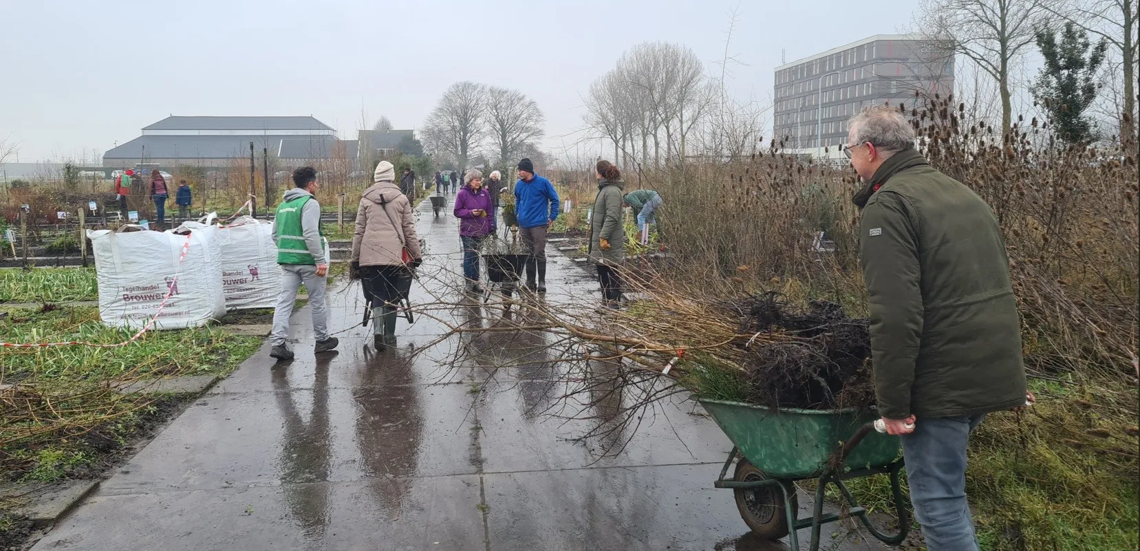 blog 1febr volop drukte op boomuirdeel