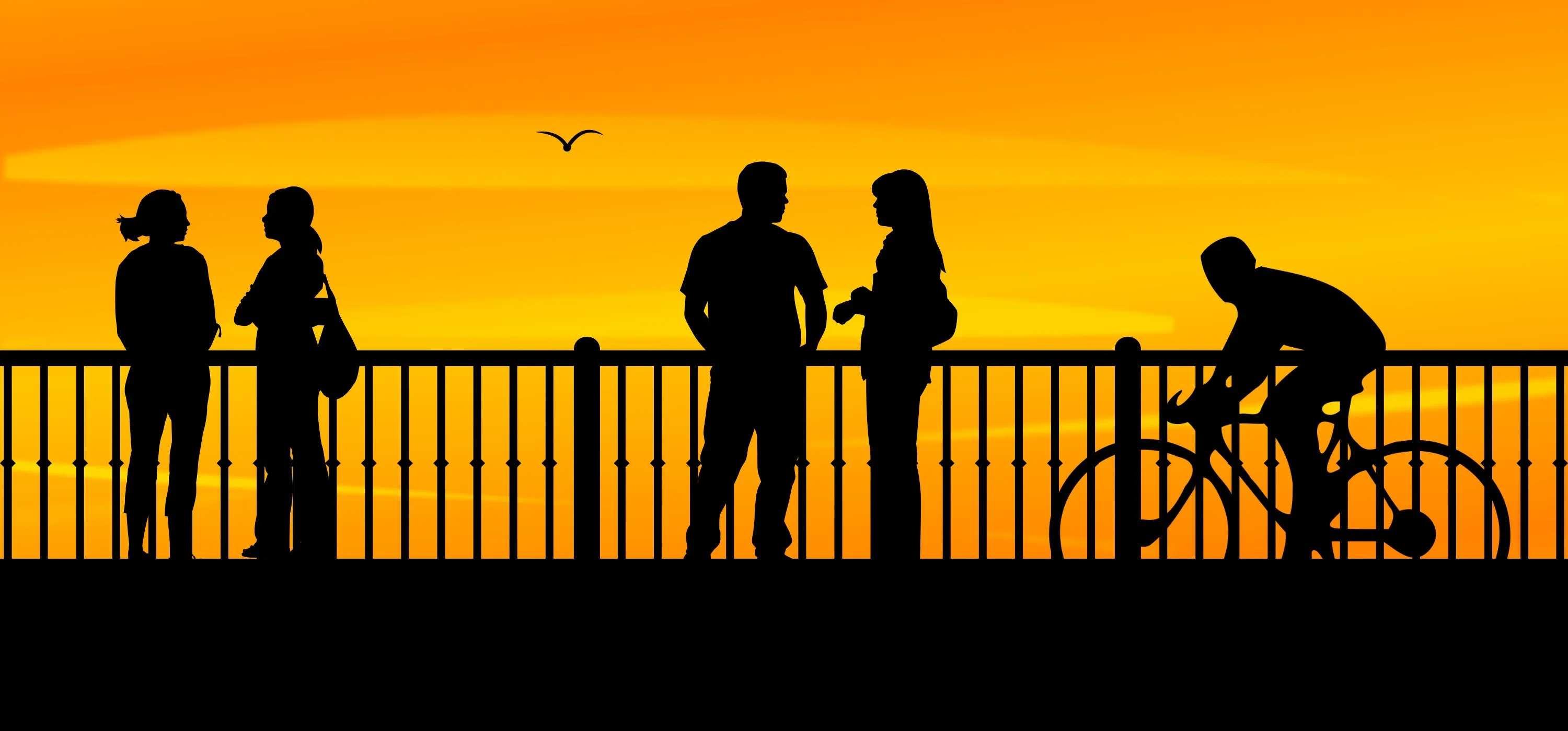 bridge 893200