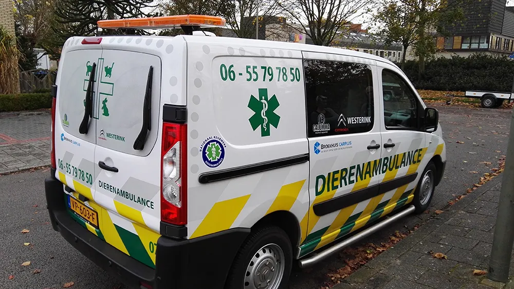 dierenambulance ermelo harderwijk dierenambulance ehnl