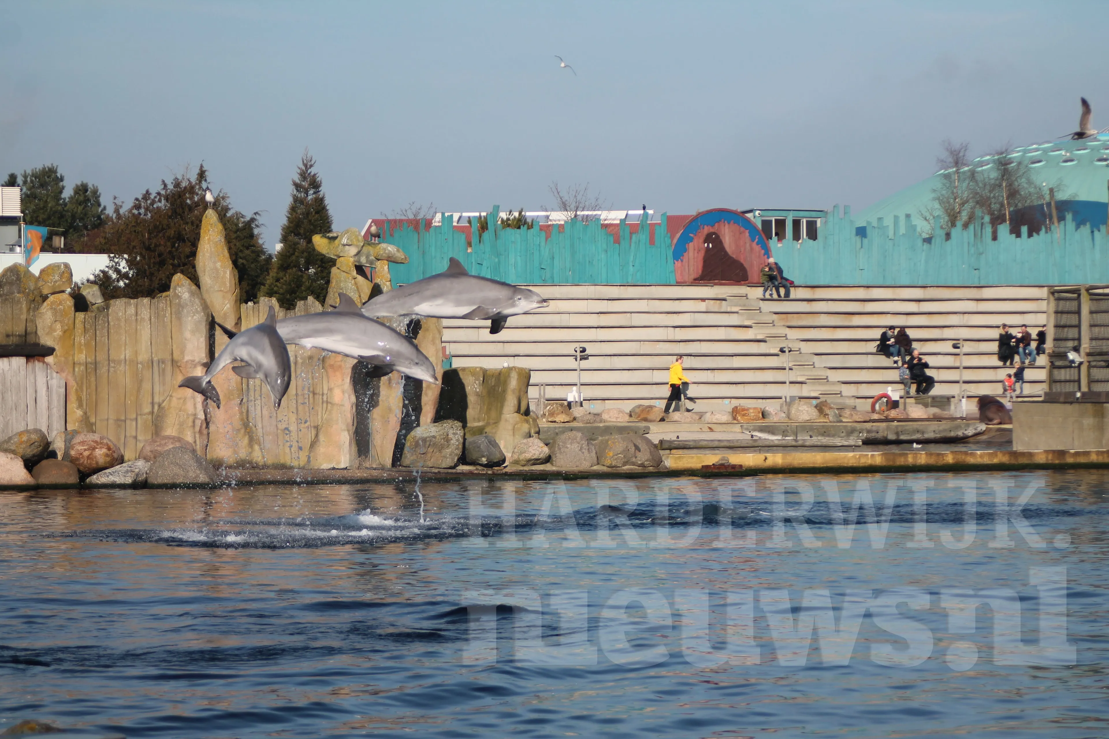 dolfinarium opening seizoen 2017 dolfijnen springen hnn