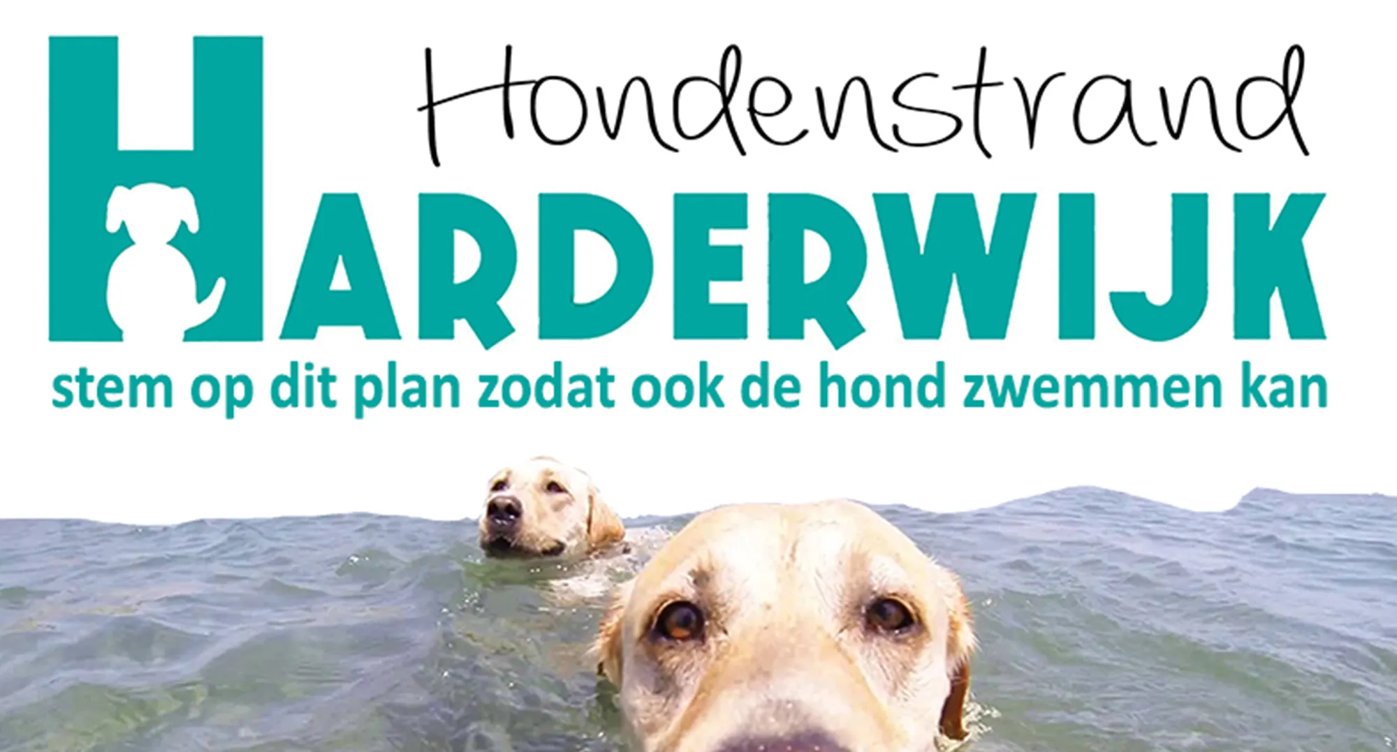 hondenstrand harderwijk