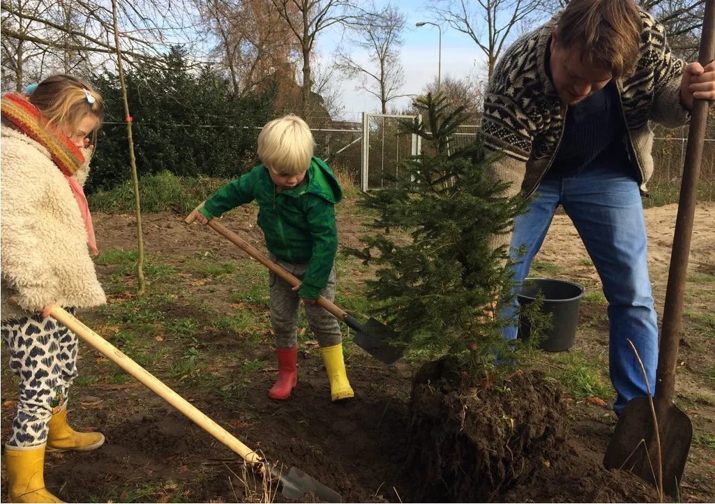 kerstbomenhotel spar rietmeen joanne zwart