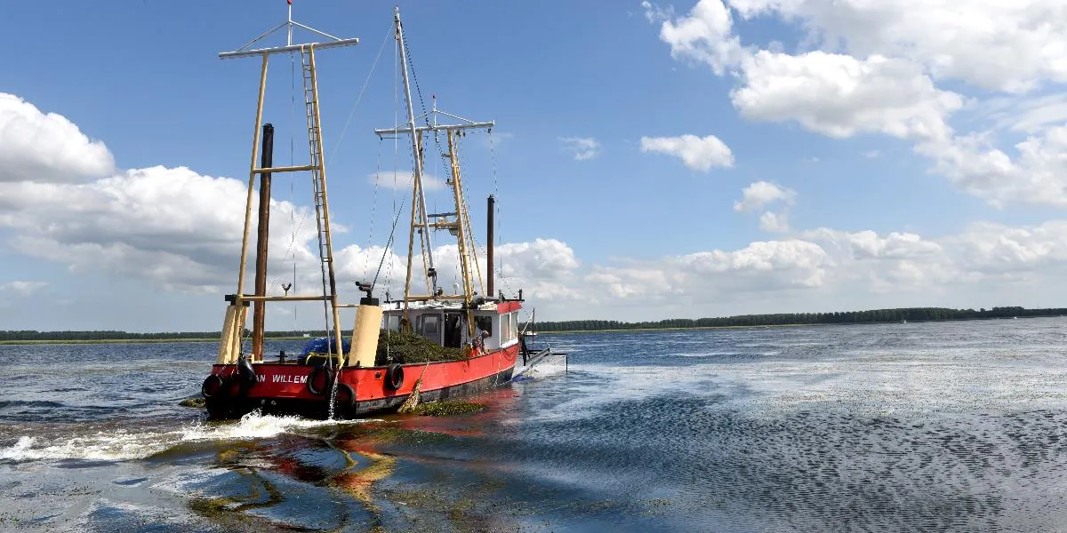 maaien wier gastvrije randmeren