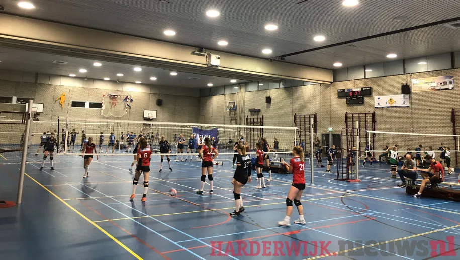 VVH organiseert eindelijk weer volleybaltoernooi