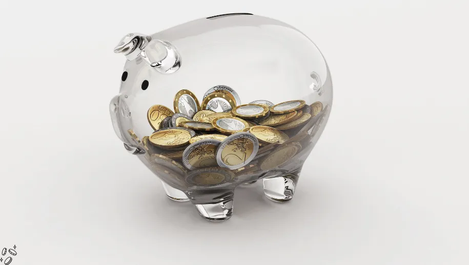 Gemeente Harderwijk moet bezuinigen