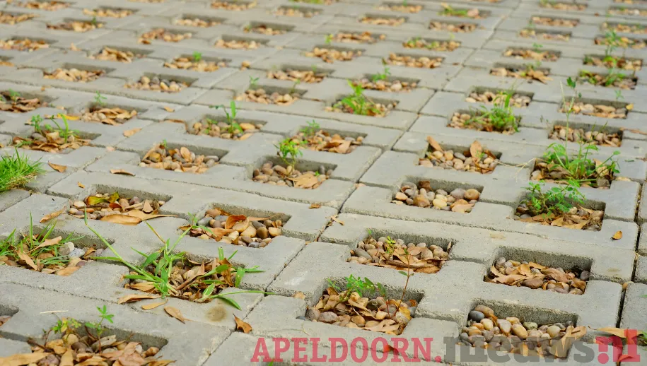 Klimaatadaptatie: Aanpassingen voor een veerkrachtige toekomst