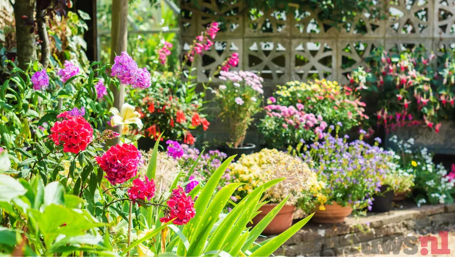 Bloemen voor bijen en vlinders: Help de natuur in je tuin