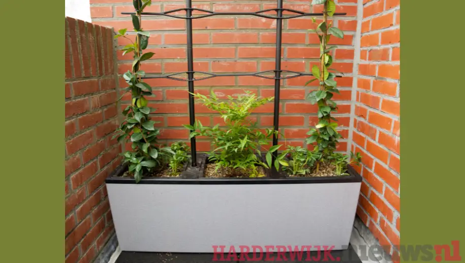 Harderwijk en Hierden doen mee aan de Nationale Tuin & Klimaat Route