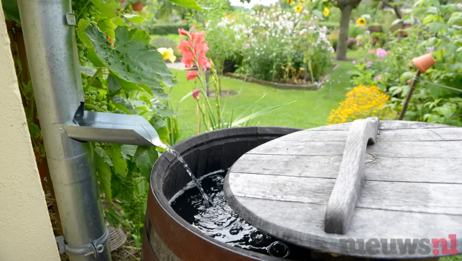 Uw huis of tuin verduurzamen? Plan nu een duurzaam coach- of adviesgesprek aan huis