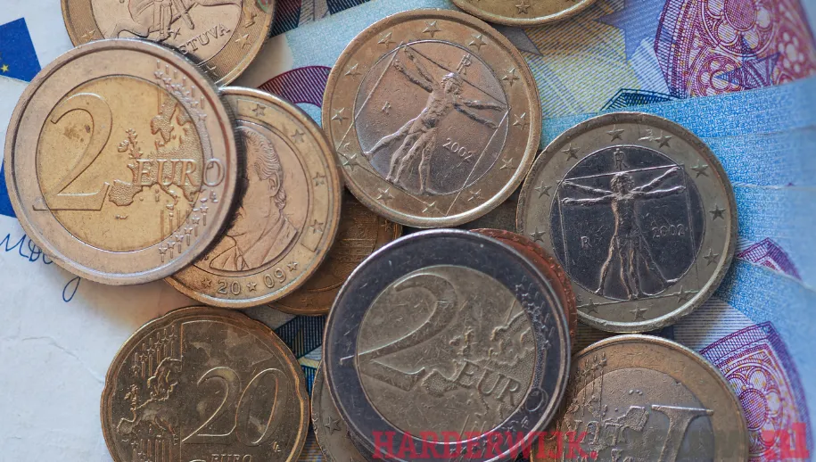 Leven met een laag inkomen