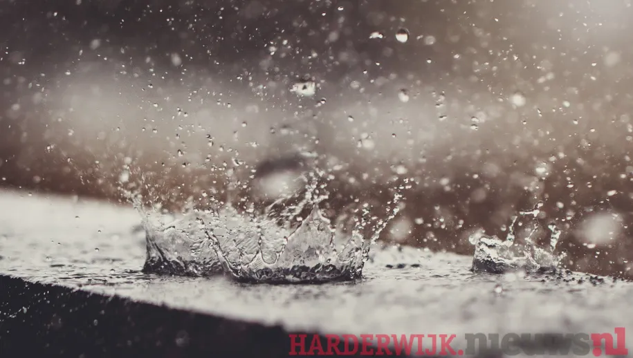 Piets weerbericht: bewolkt en nat