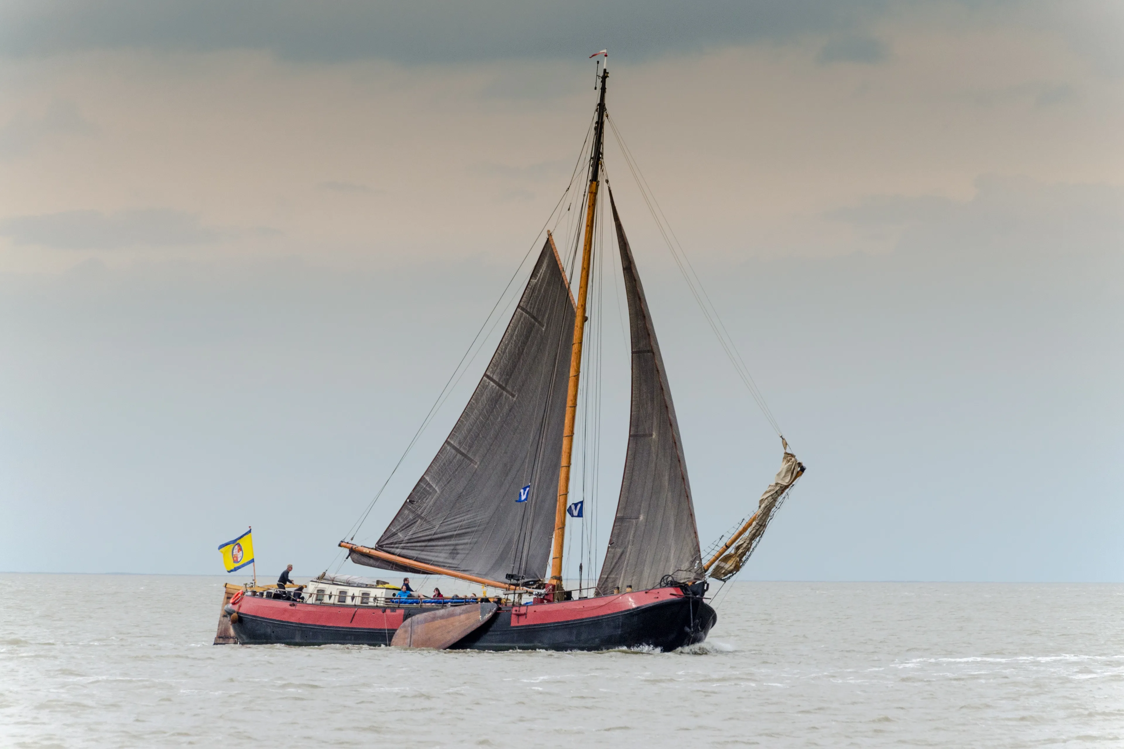 sailing 443406
