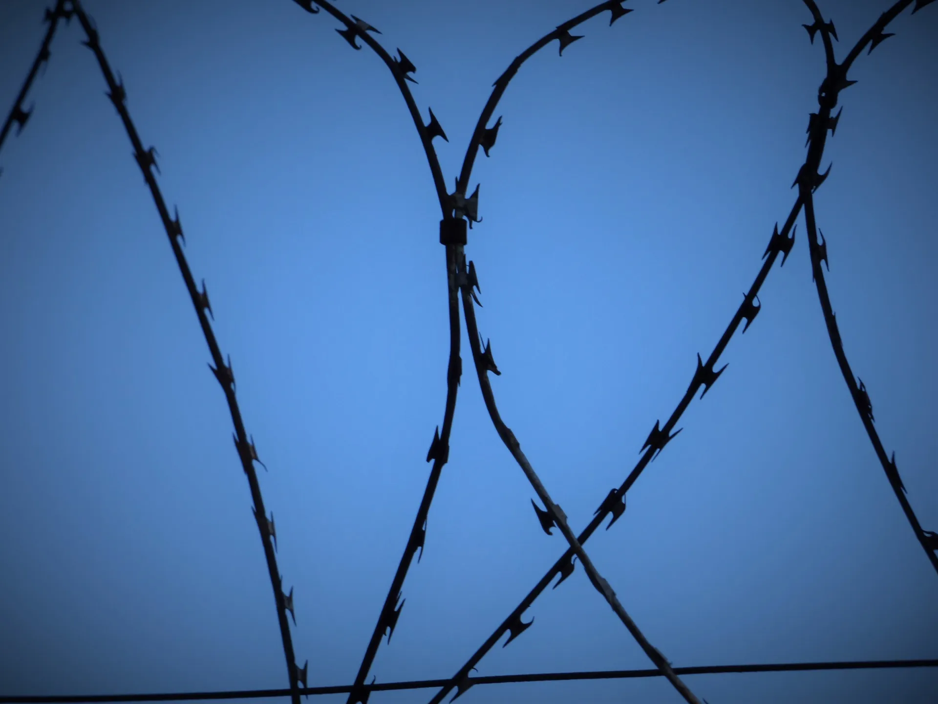 stacheldraht 1451145846cic