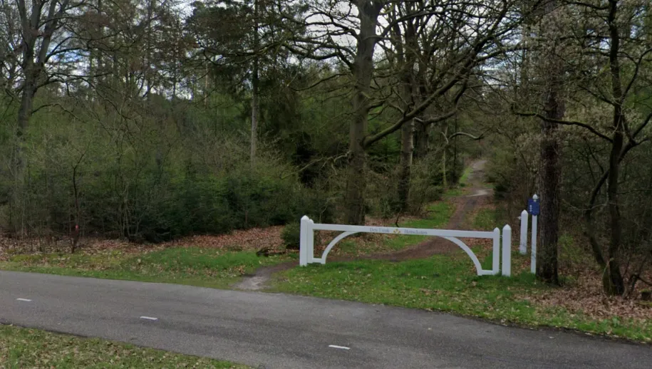 Oproep: kom niet met kleine kinderen in bossen Heuvelrug om wolf