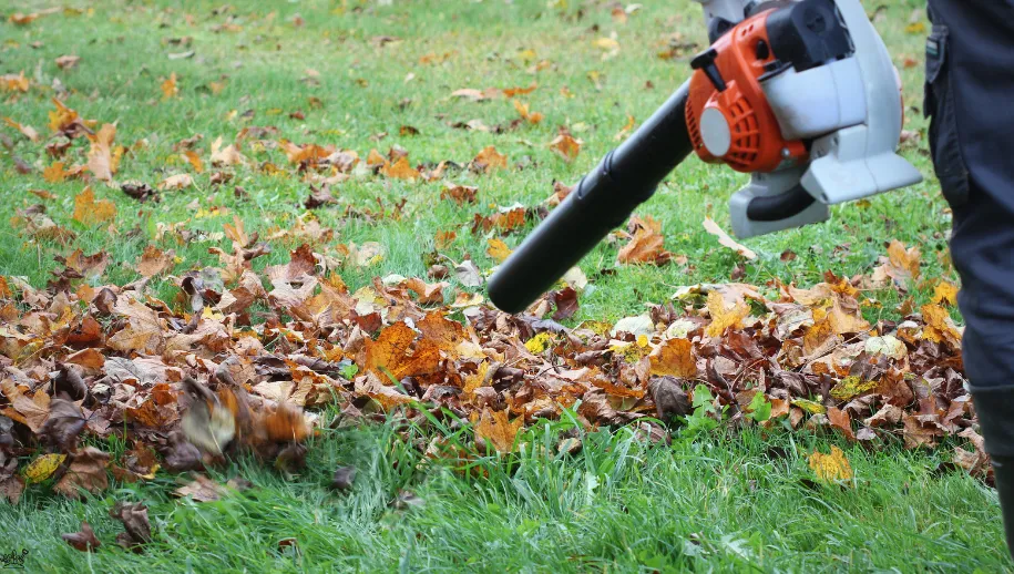 Tuin winterklaar maken: 8 tips voor een goede voorbereiding