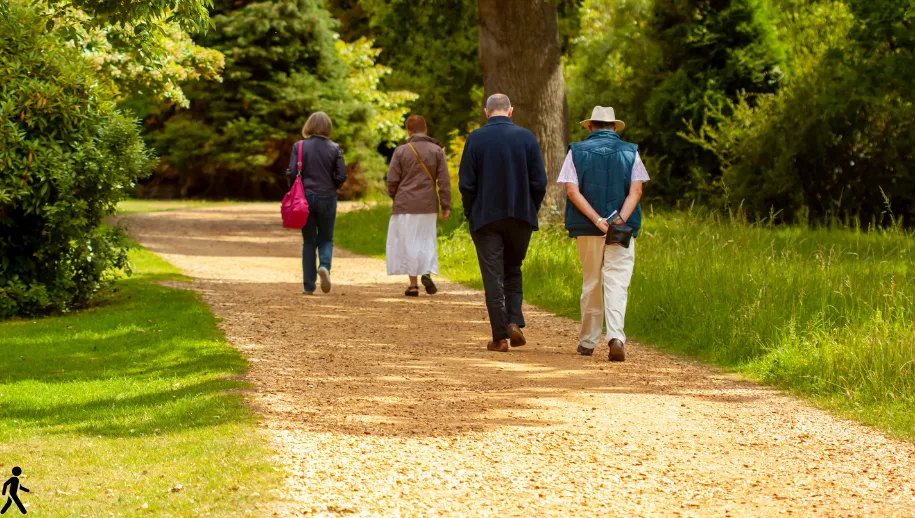 Beweegmaatjes gezocht voor 65-plussers in Harderwijk