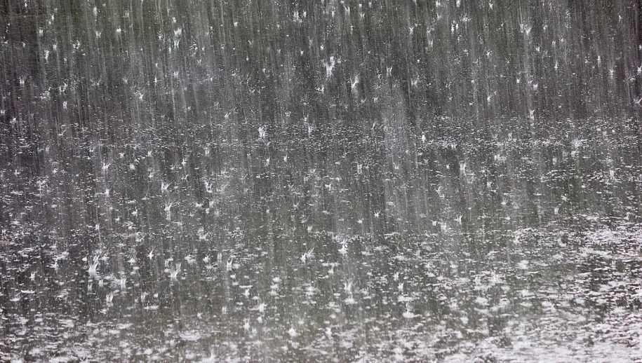 Weerbericht: frisse wind en regen in Harderwijk