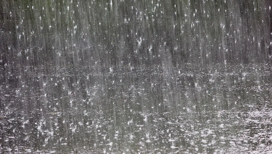Weerbericht Harderwijk: regenachtige avond en bewolkte nacht