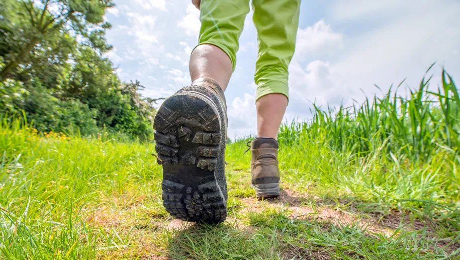 Buitenlucht en natuur beleven tijdens de Veluwse Wandeldagen