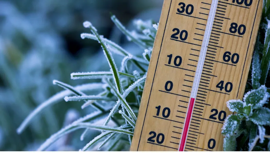 Koud winterweer in Harderwijk: temperaturen dalen tot -5°C