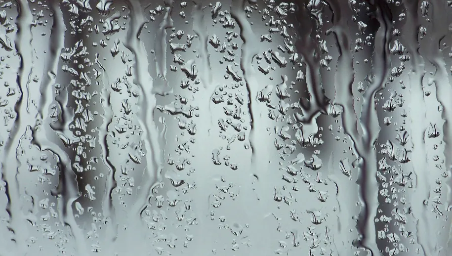 regen