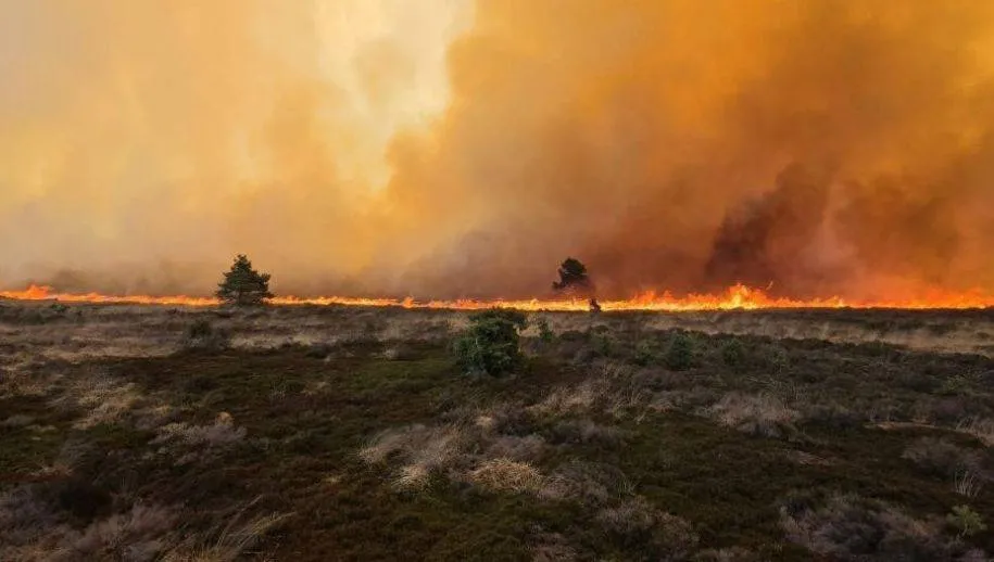 Rook van grote natuurbrand bij ’t Harde trekt over Harderwijk
