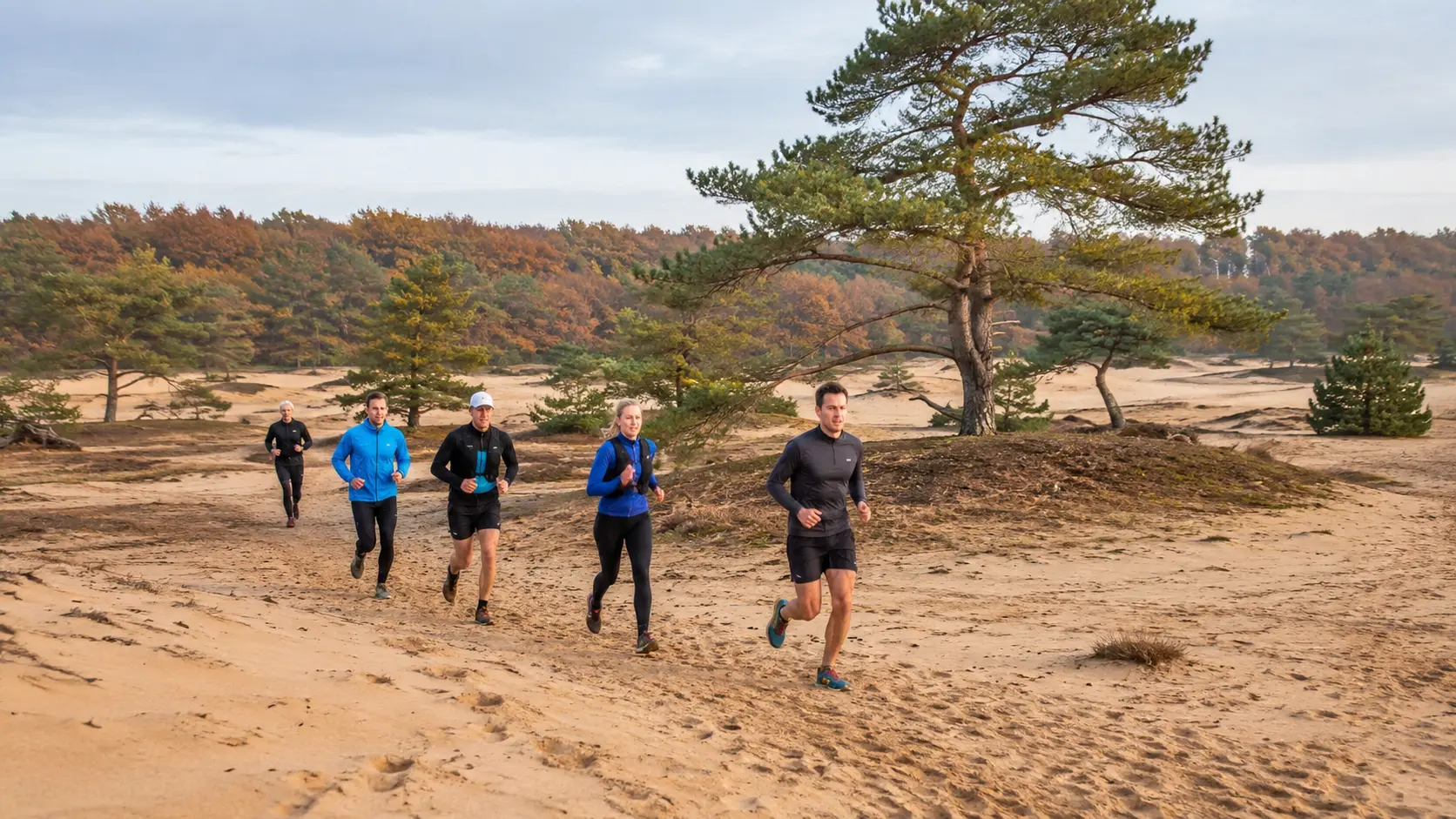Inschrijving Trail Run Harderwijk open voor routes tot 43 kilometer