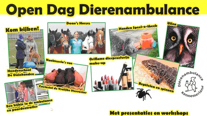 banner cover