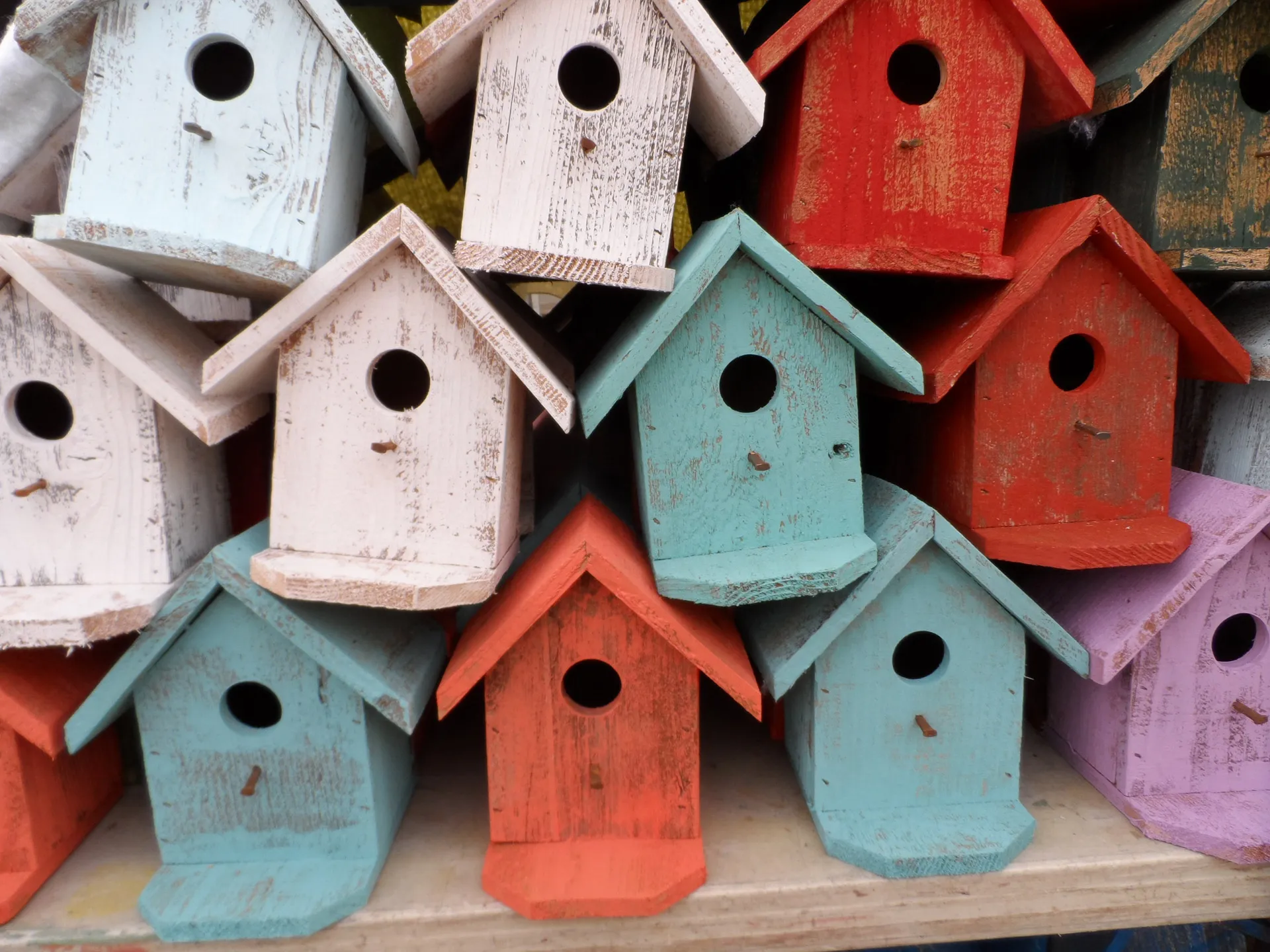 bird houses