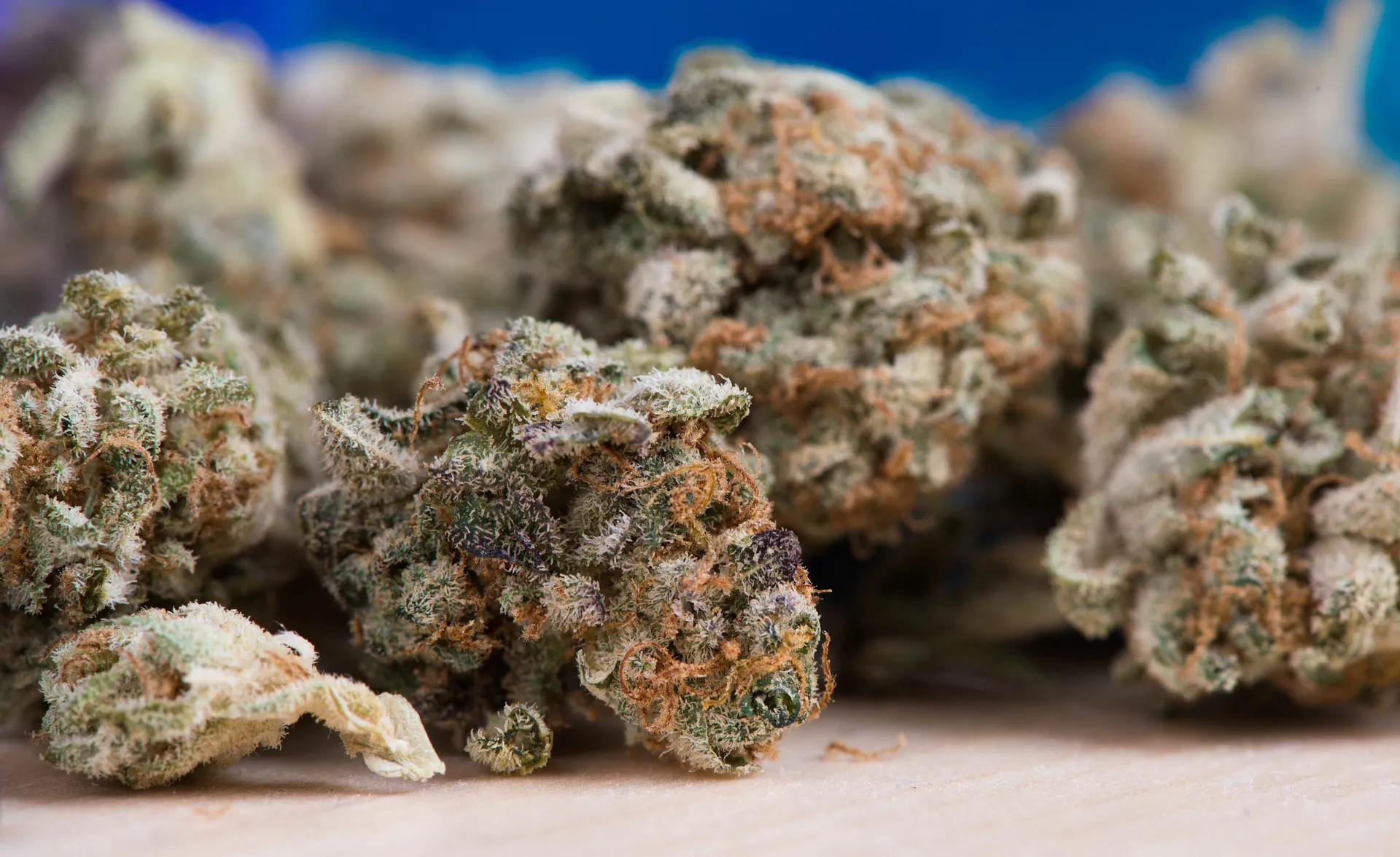 cannabis 2150543 1920 pixabay