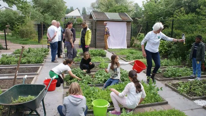 schooltuin banner 1