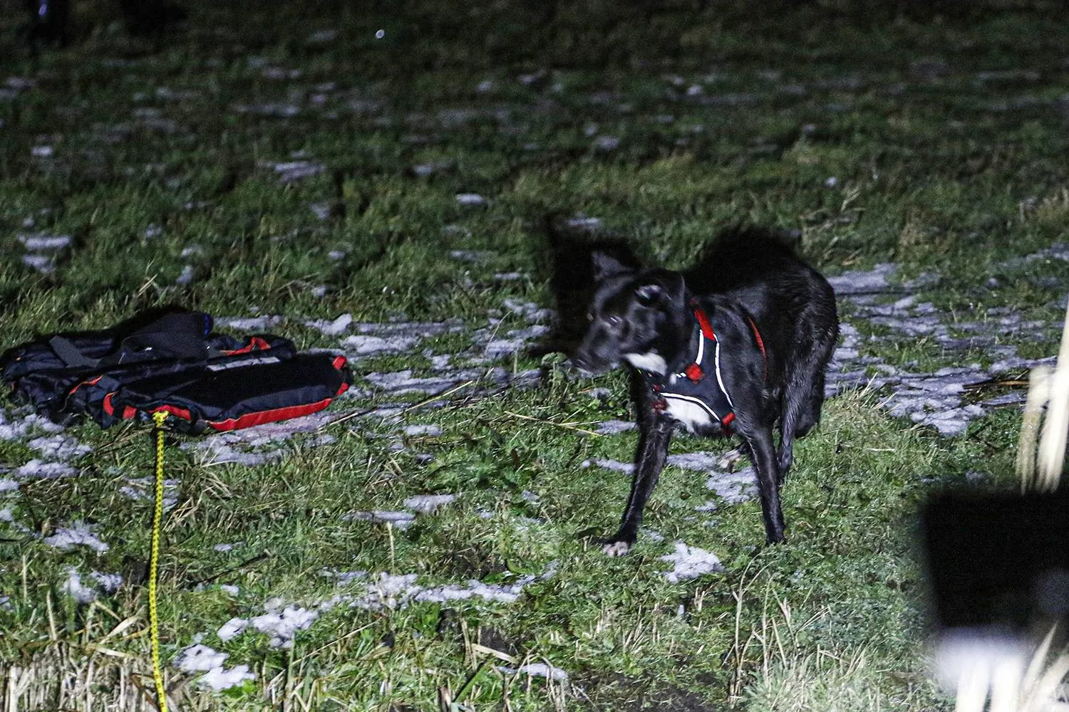 _57A9571_resized kopiëren