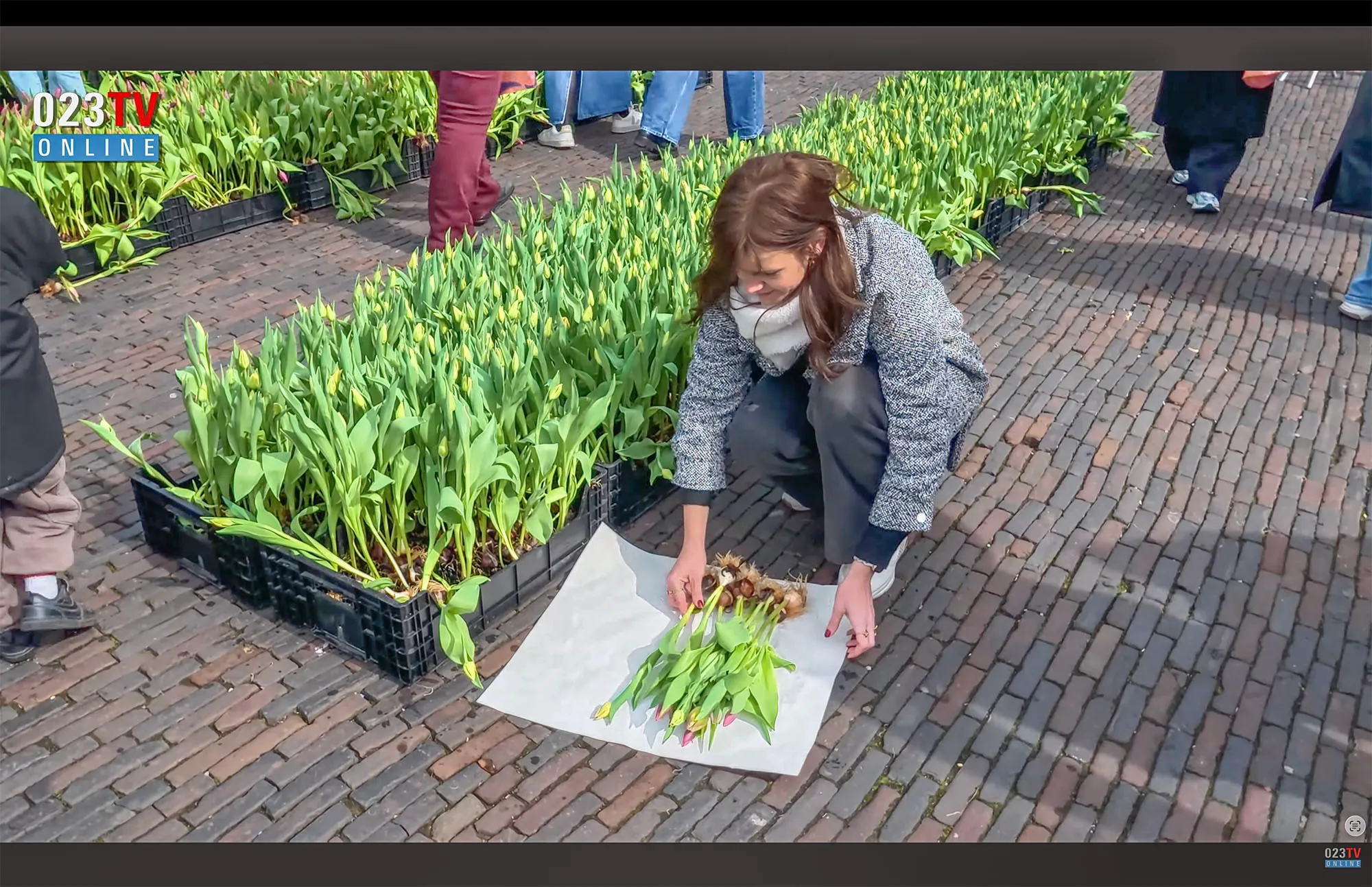 dame met tulpenbollen