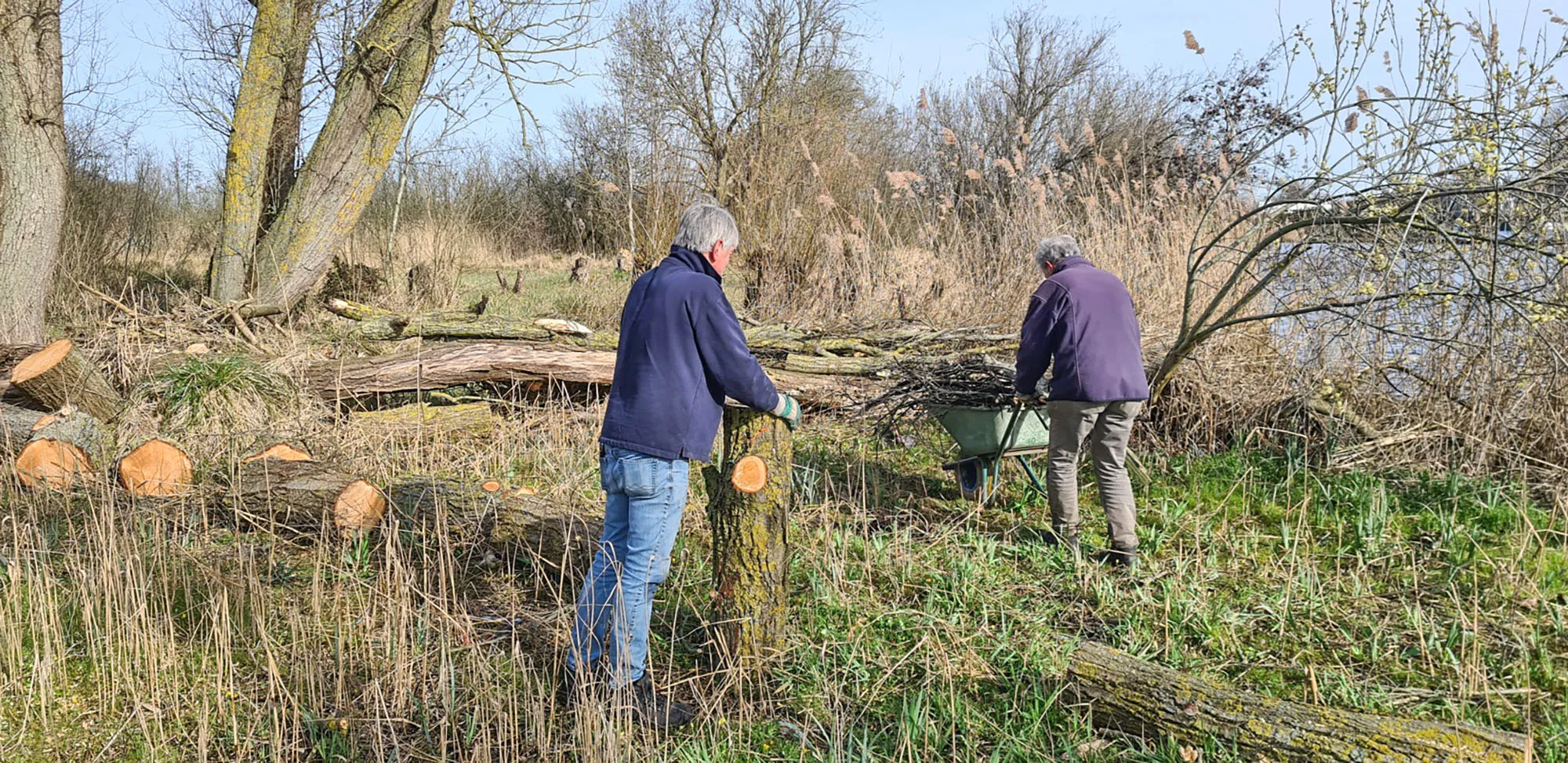 natuur nieuwsheemstede22 maart boom meermond