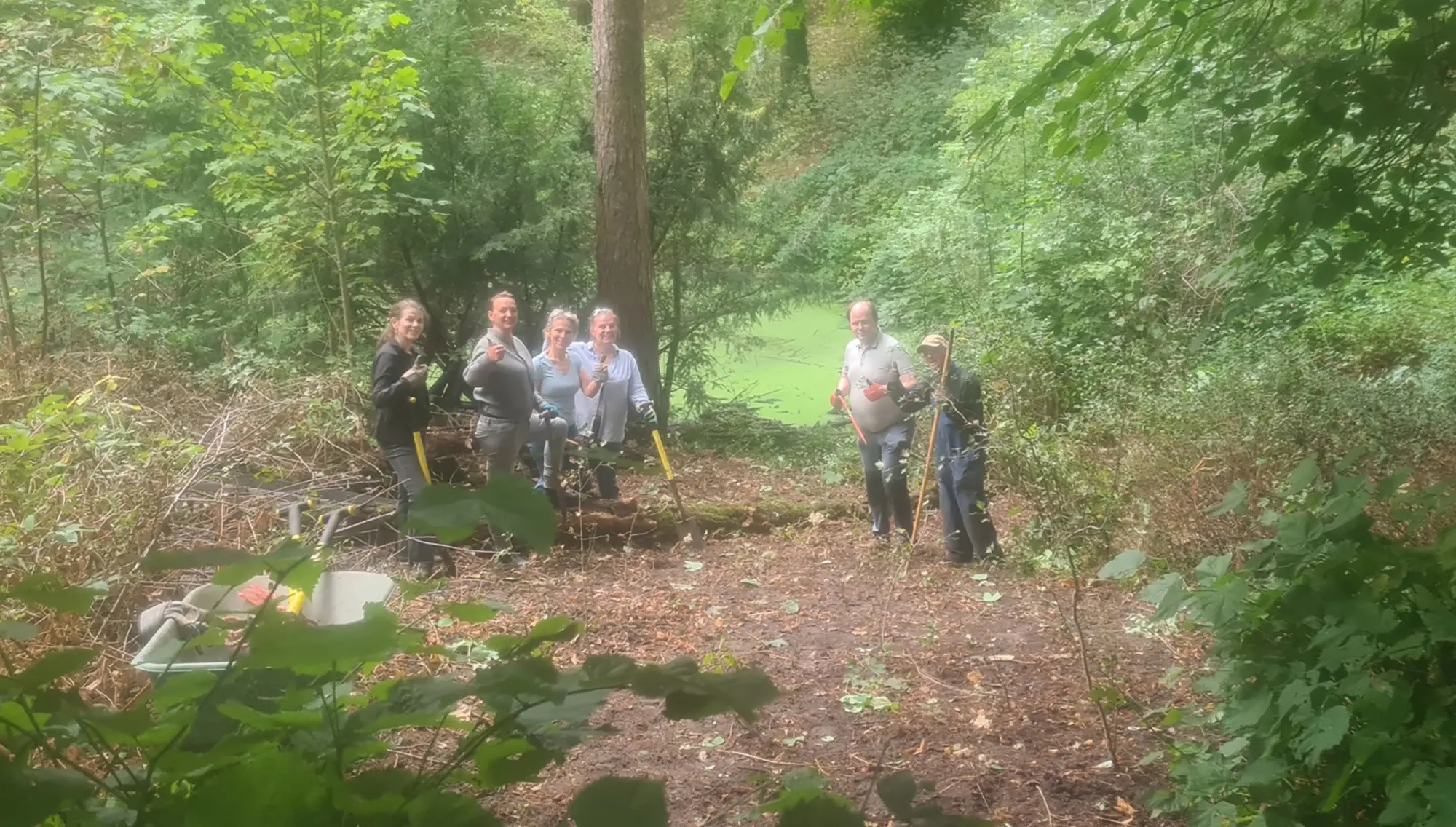 heemstede natuurnieuws 23 augustus  er ontstaat orde uit chaos bij de belevedere