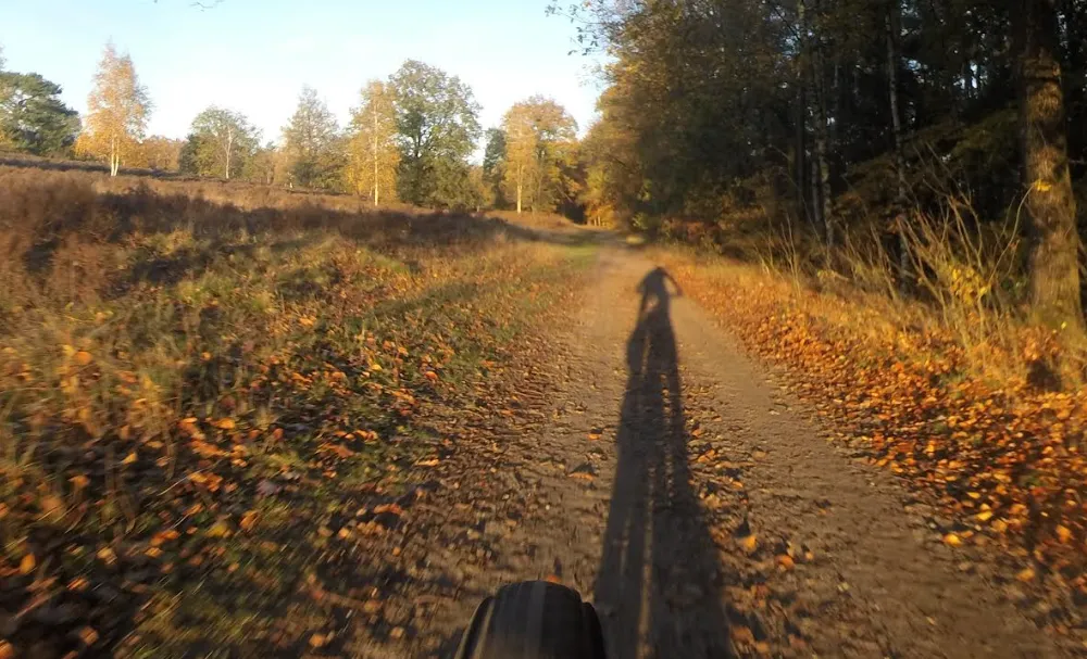 Schermafbeelding 2025-10-28 075028