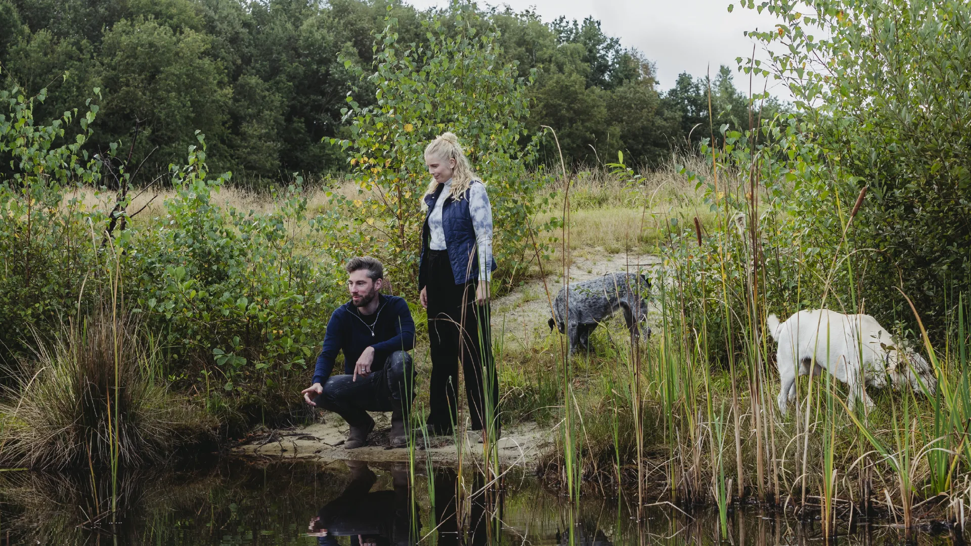 Beeld_Subsidie voor herstel en inrichting van het agrarisch cultuurlandschap
