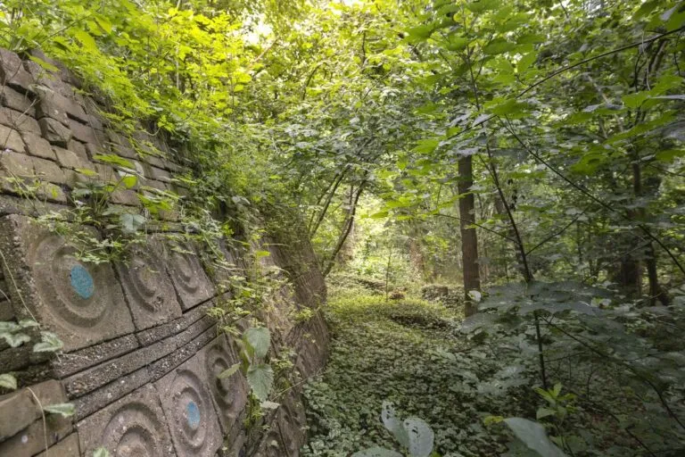 ecokathedraal-768x512