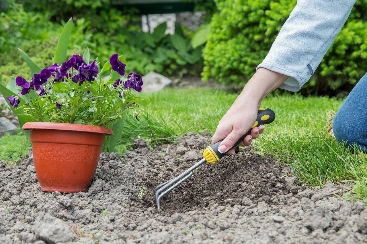gardening 6803866 1280