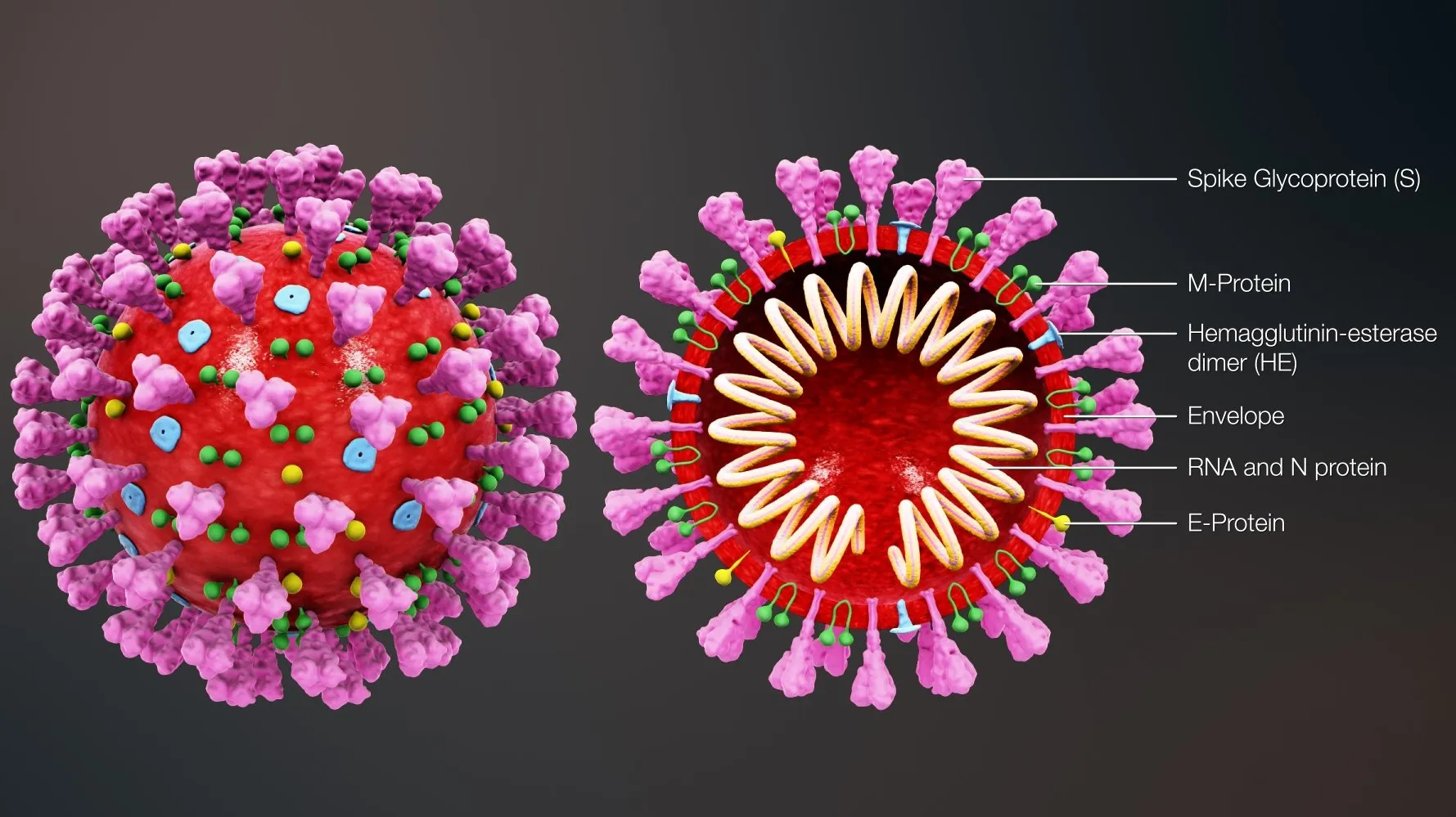 coronavirus creative commons attribution share alike 40 international license