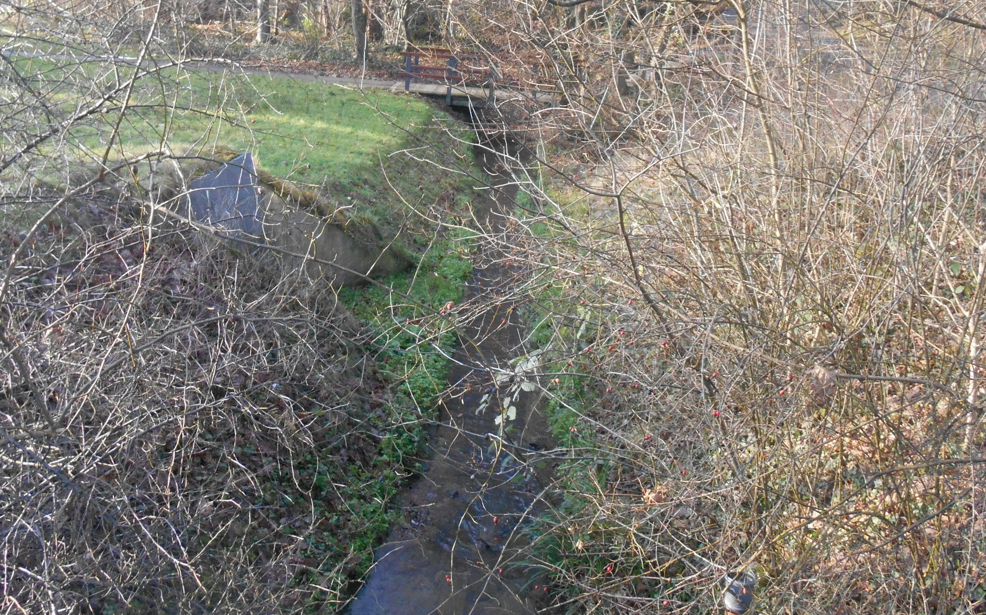 dscn0806 e1473436461577