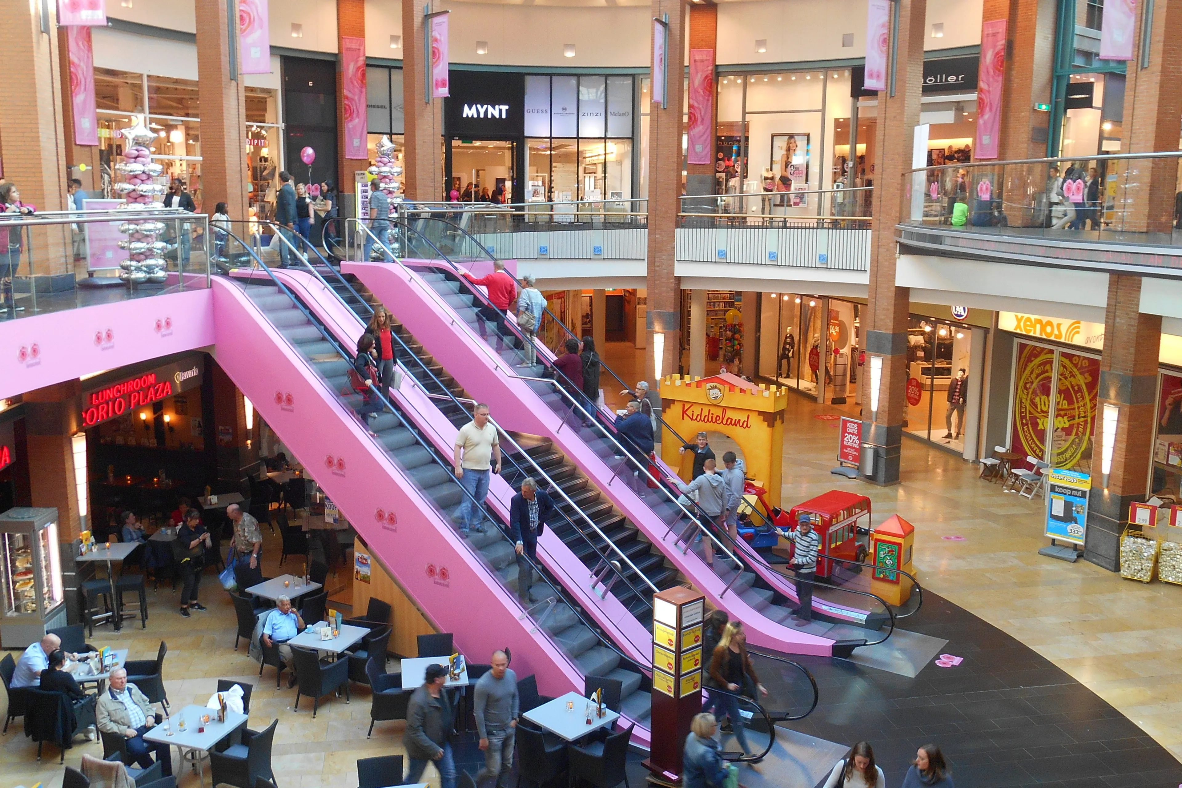 dscn4545 e1475958636173