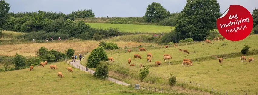 limburgsmooiste