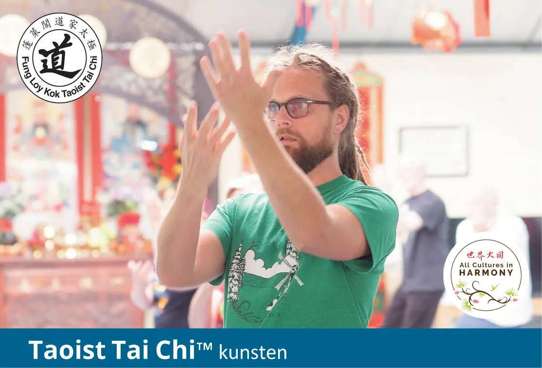 taichi helmond