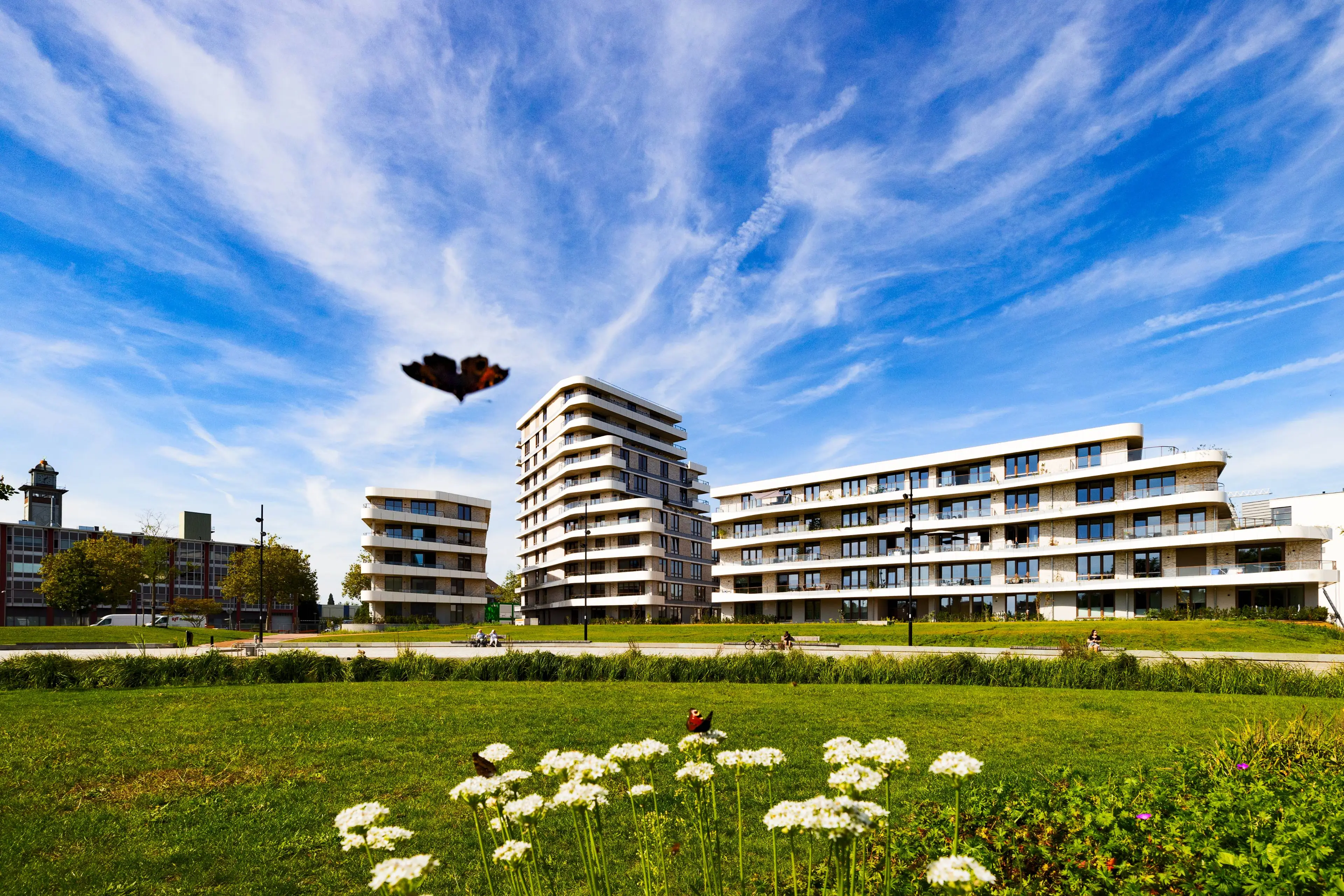230904 4026 burgemeester Geukerspark in bloei