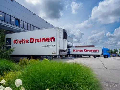 kivits