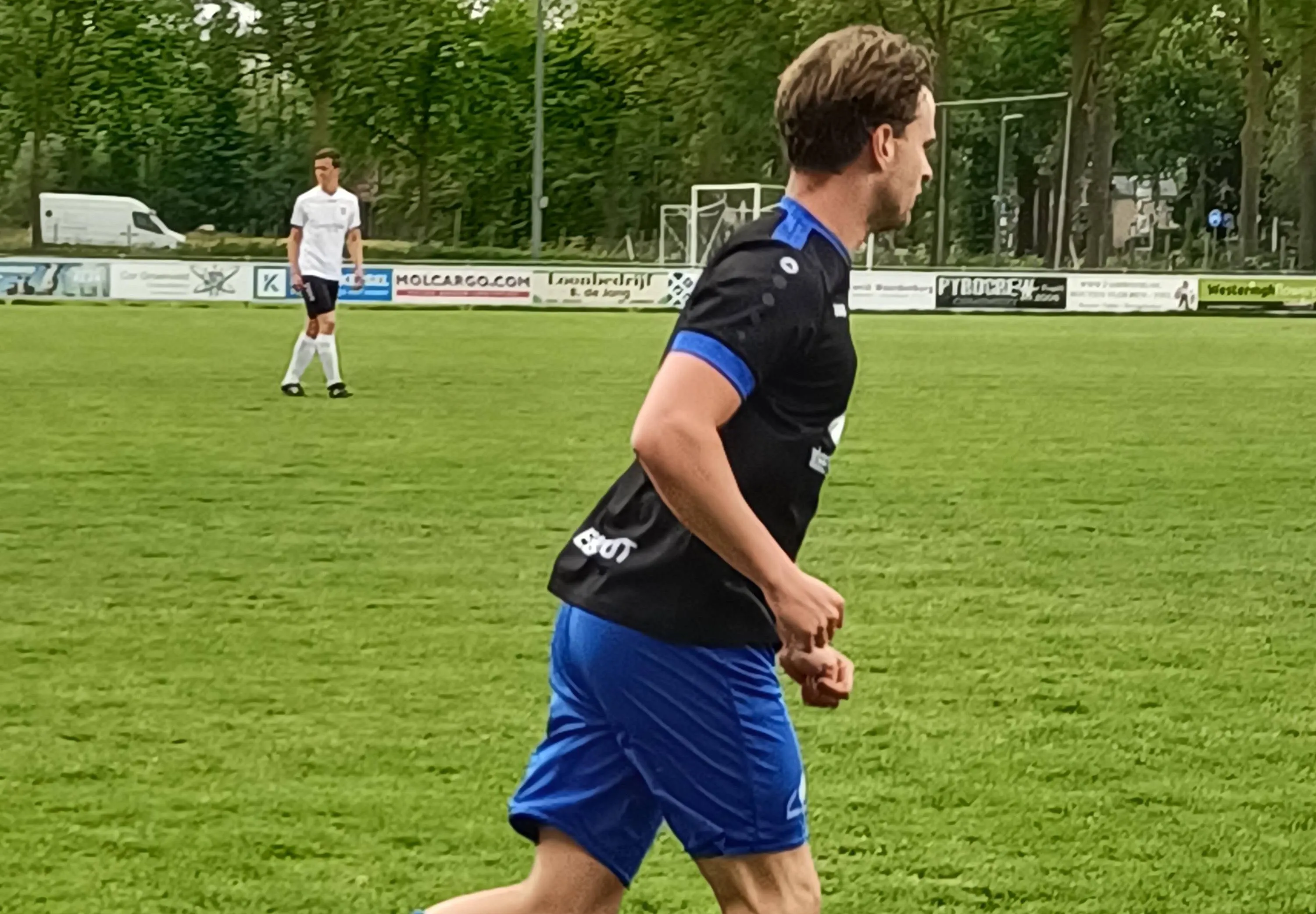 sc elshout